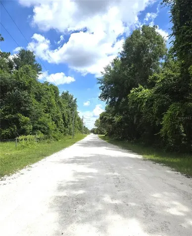 Alloy Street Webster FL 33597