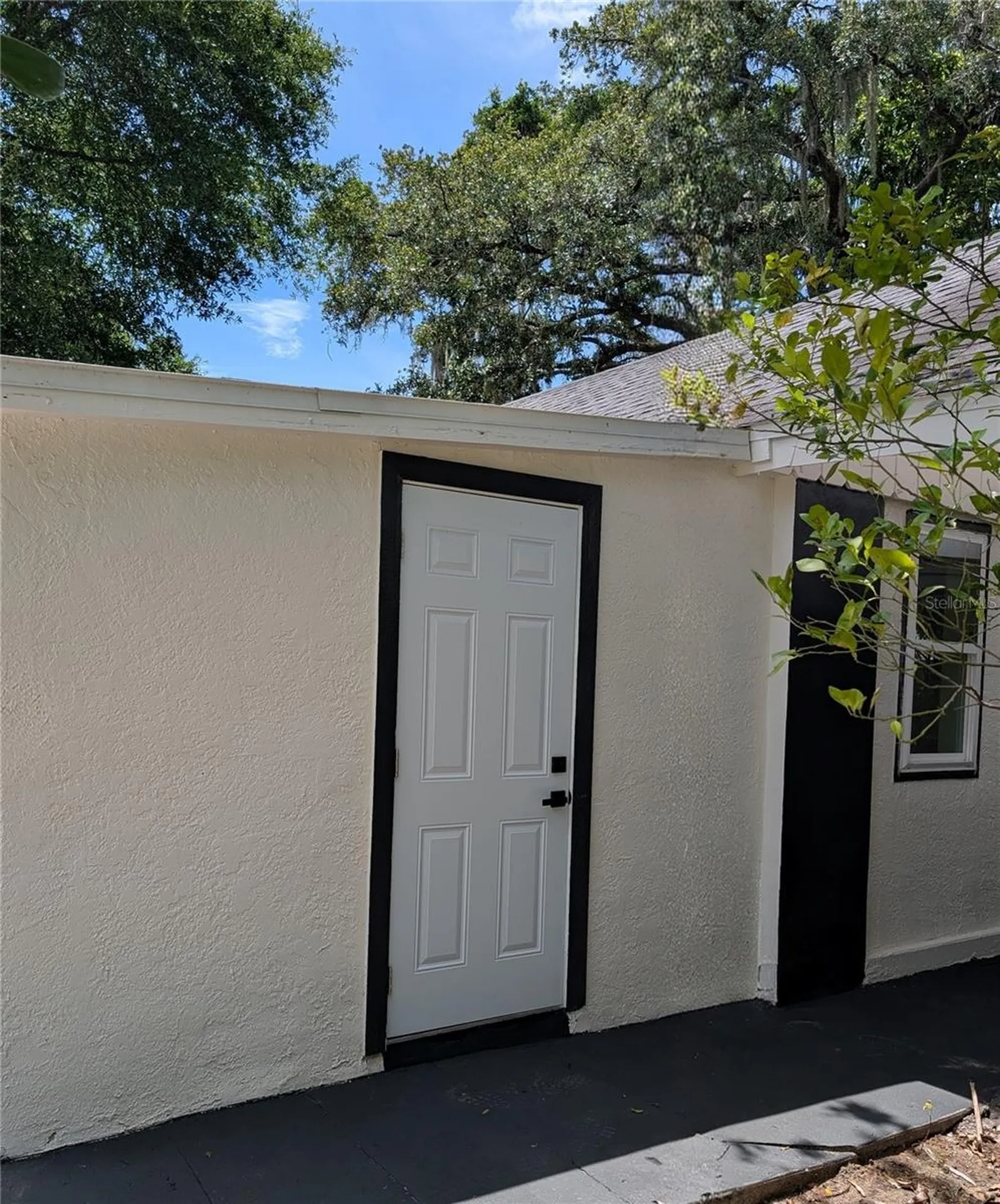 8206 N 19th Street Tampa FL 33604
