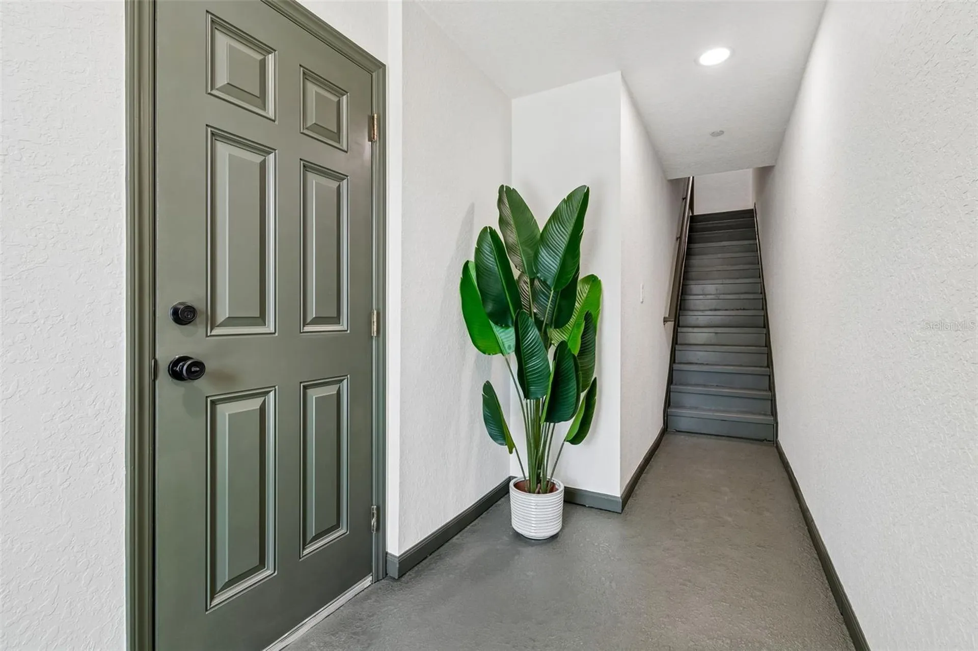 504 Wheaton Trent Place Tampa FL 33619
