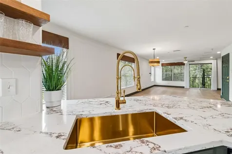 504 Wheaton Trent Place Tampa FL 33619