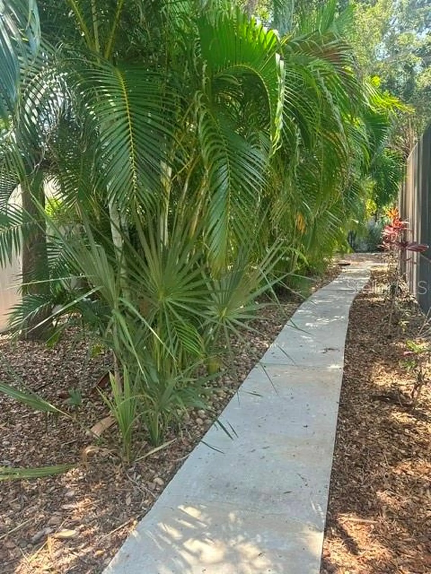 103 Carlyle Drive Palm Harbor FL 34683