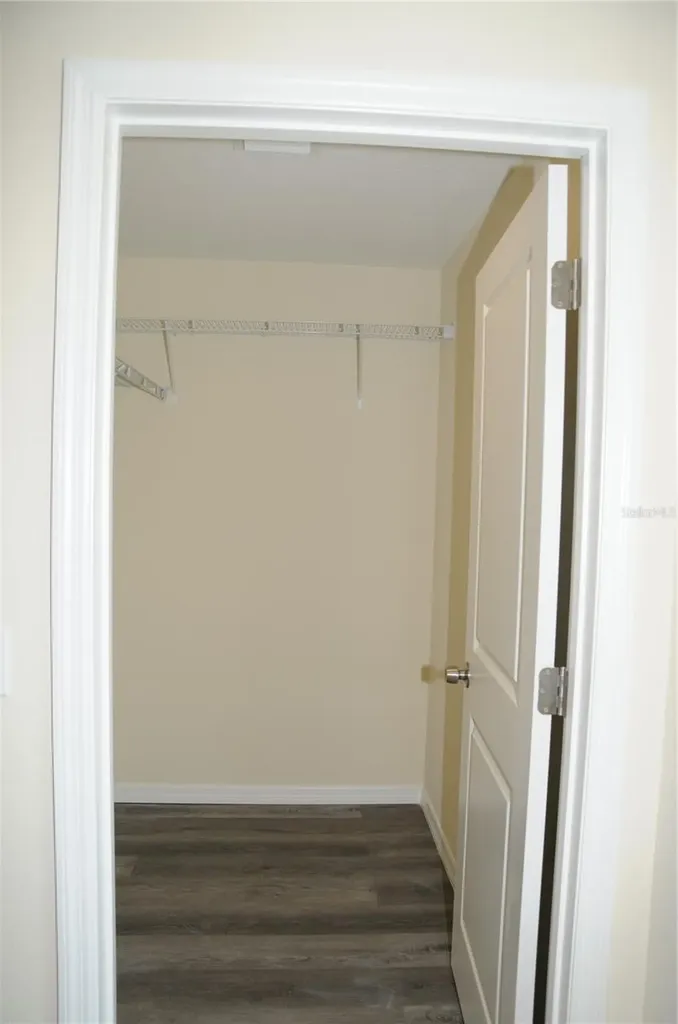 4343 Cambio Gardens Court Tampa FL 33610