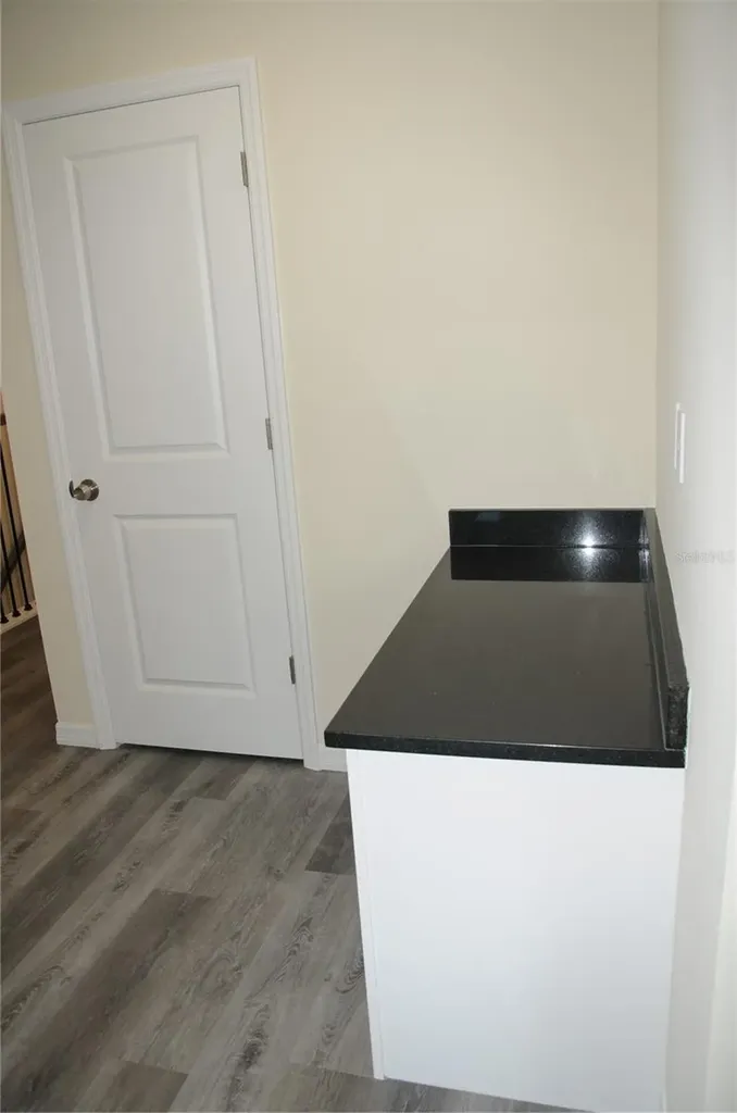 4343 Cambio Gardens Court Tampa FL 33610