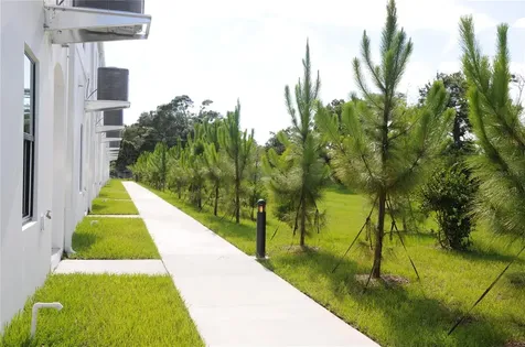 4343 Cambio Gardens Court Tampa FL 33610
