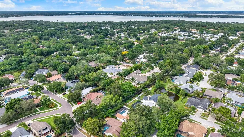 1118 Bramblewood Drive Safety Harbor FL 34695