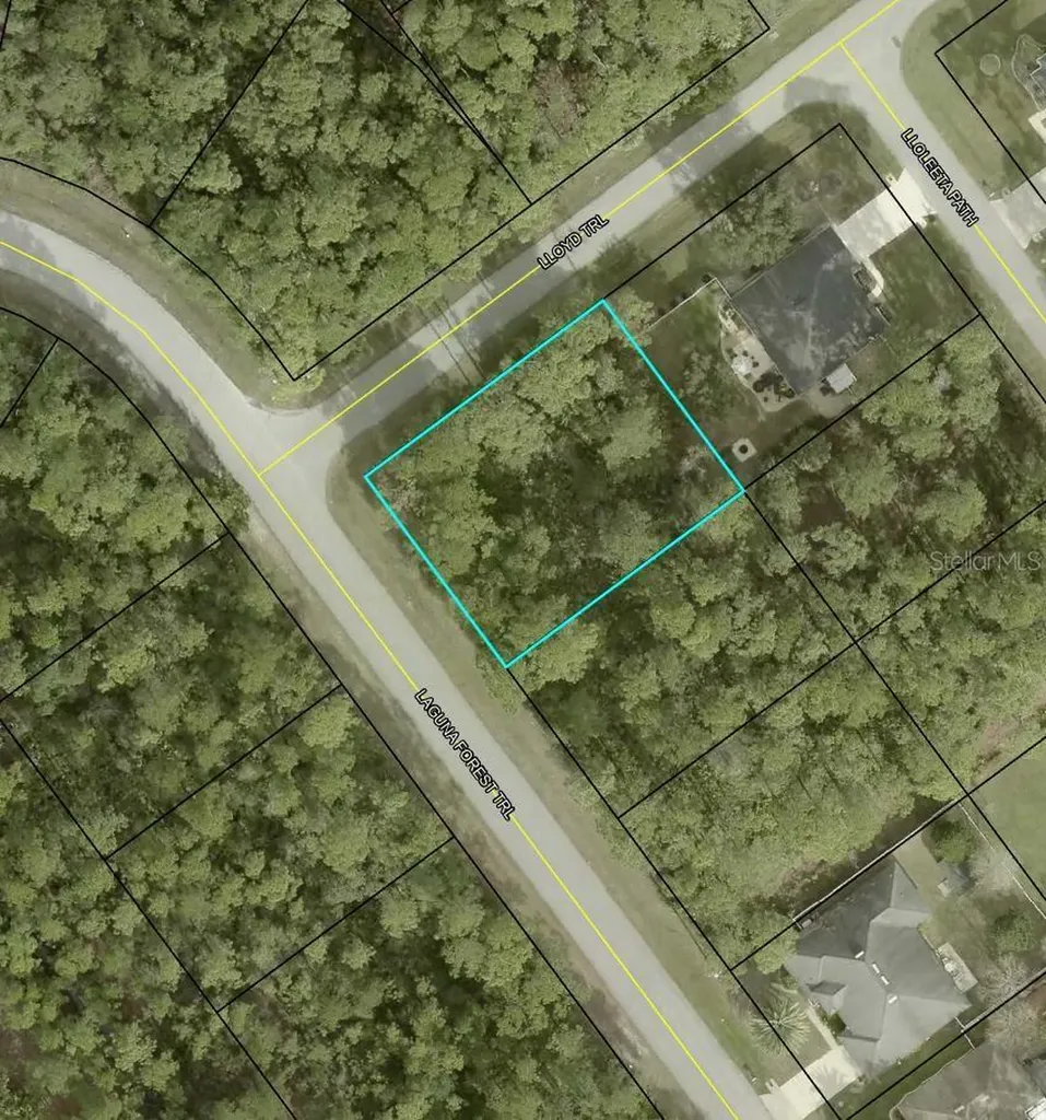 000 Laguna Forest Trail Palm Coast FL 32164