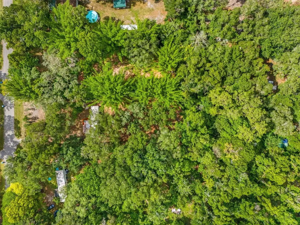 5153 Haberman Drive Brooksville FL 34601