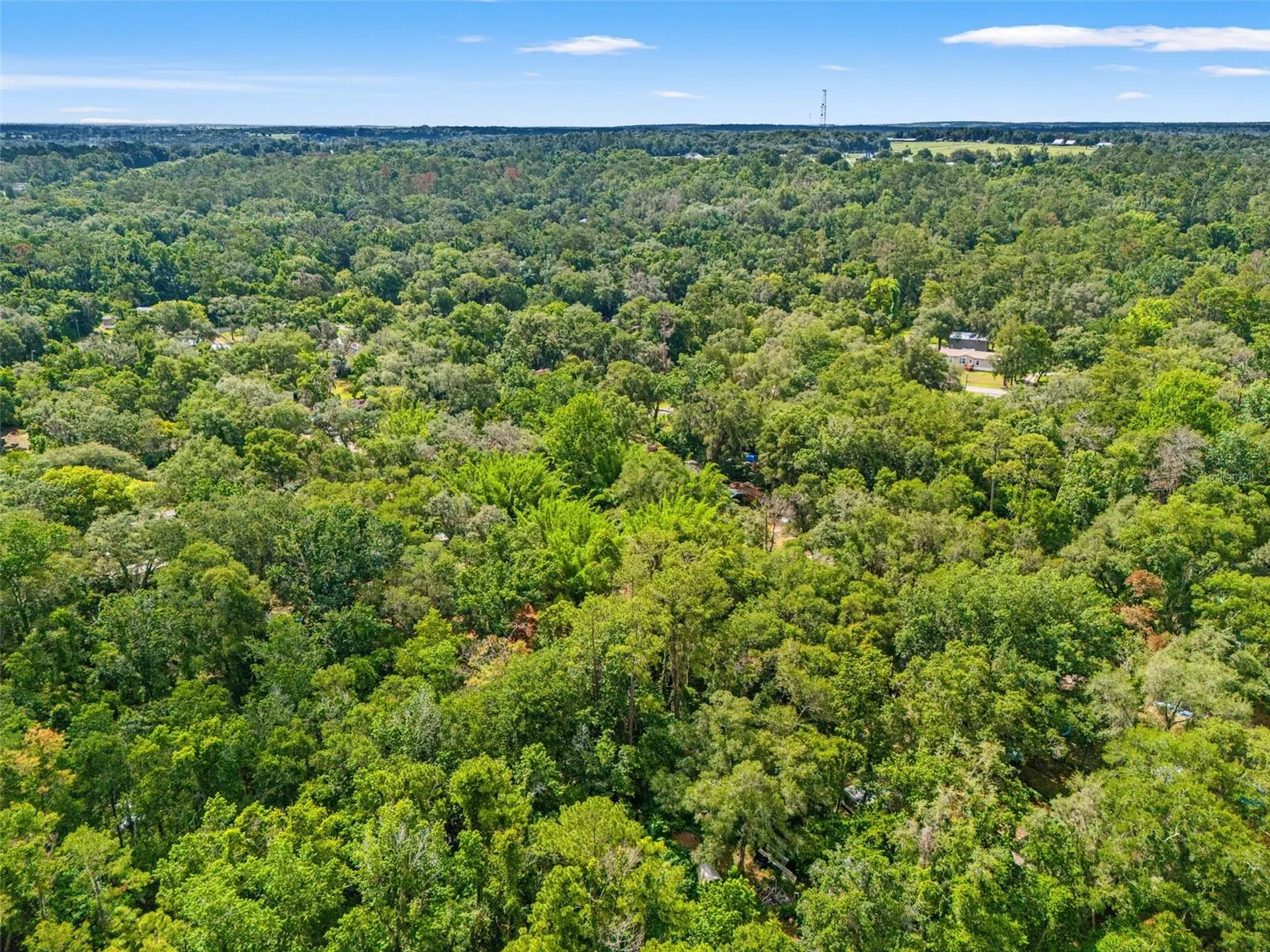 5153 Haberman Drive Brooksville FL 34601
