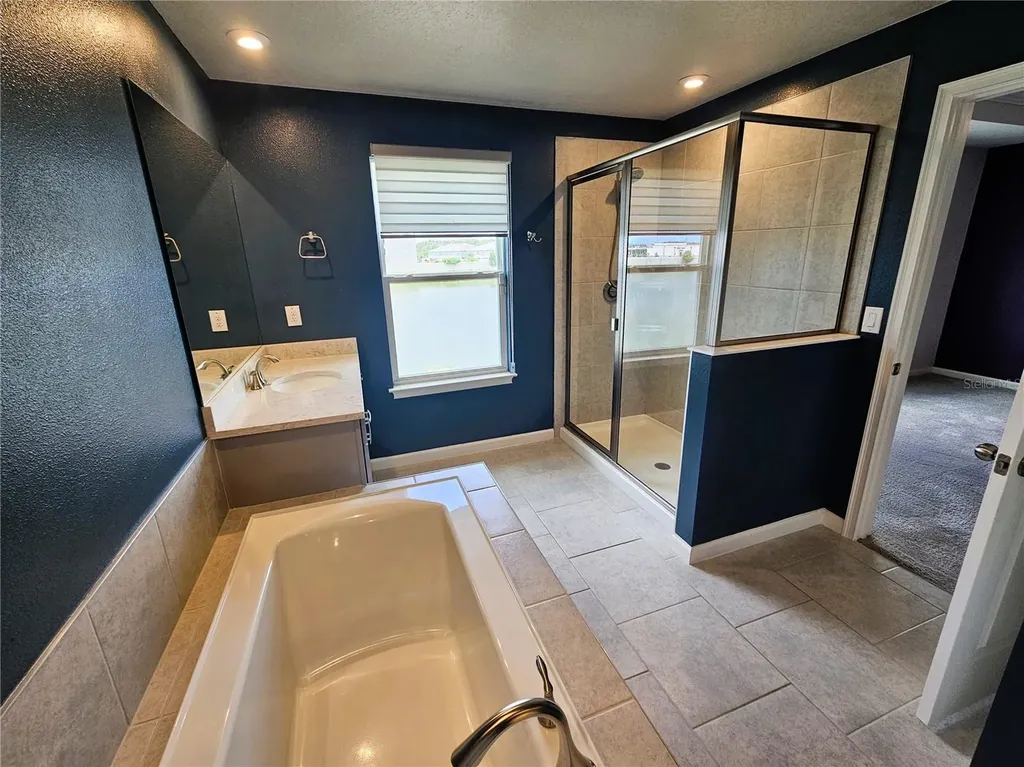 19403 Blue Pond Drive Lutz FL 33558