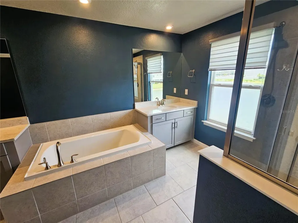 19403 Blue Pond Drive Lutz FL 33558