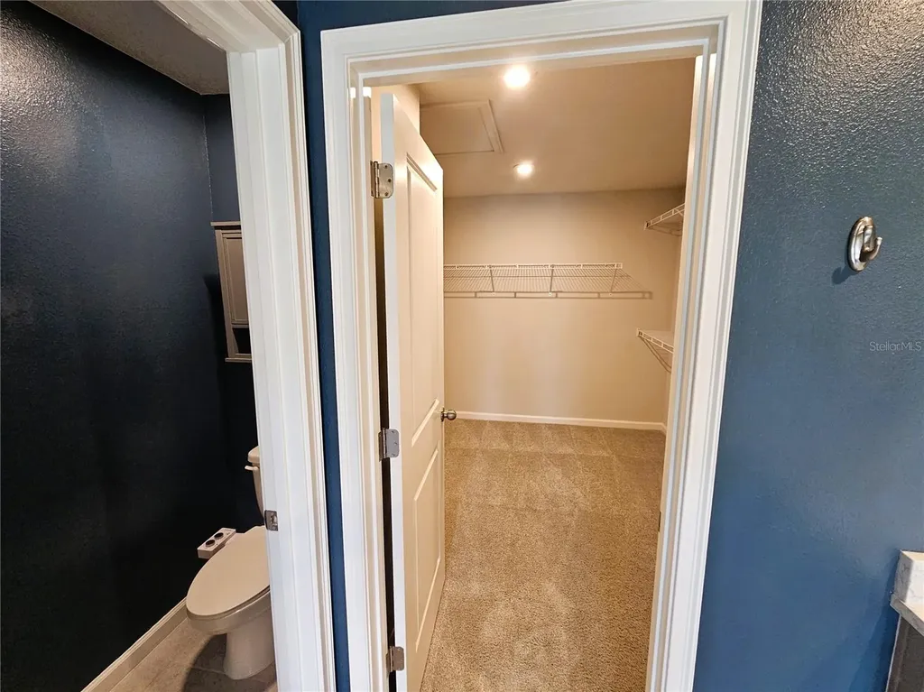 19403 Blue Pond Drive Lutz FL 33558