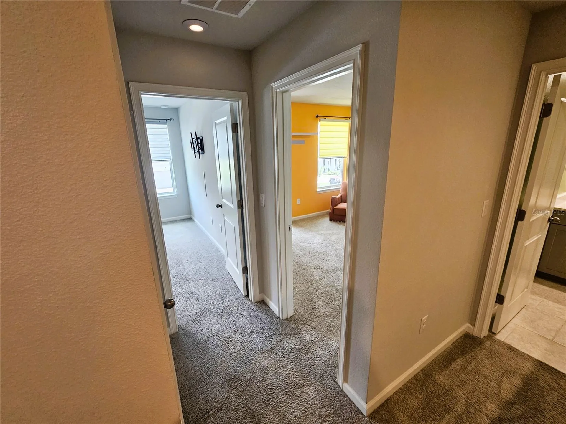 19403 Blue Pond Drive Lutz FL 33558