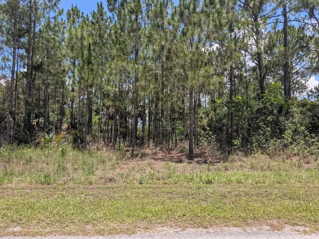 7 Avocado Drive Indian Lake Estates FL 33855