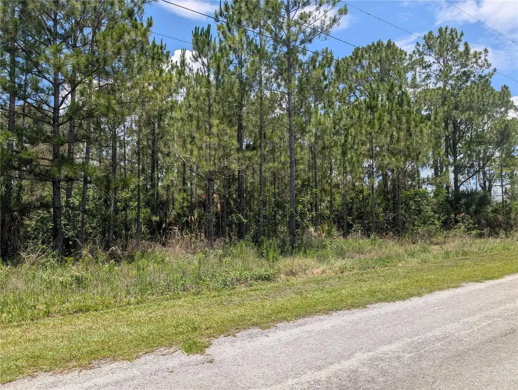 7 Avocado Drive Indian Lake Estates FL 33855