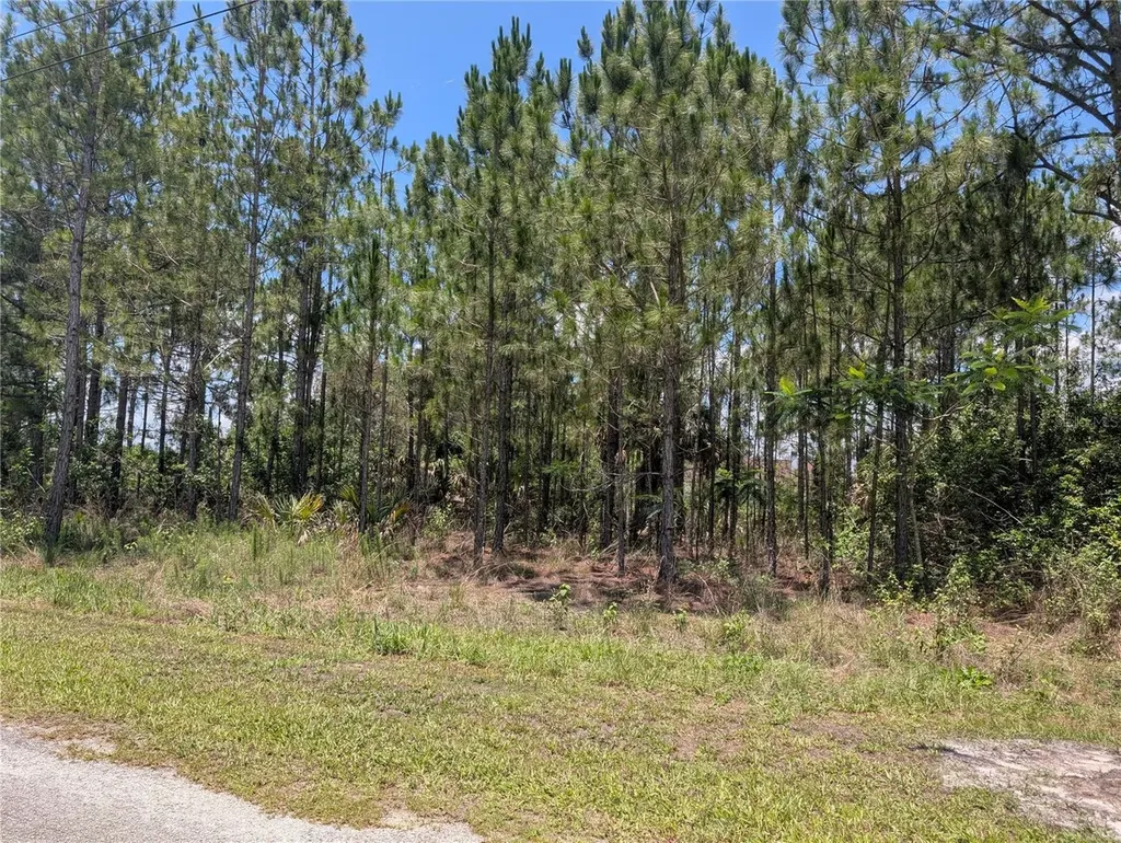 7 Avocado Drive Indian Lake Estates FL 33855