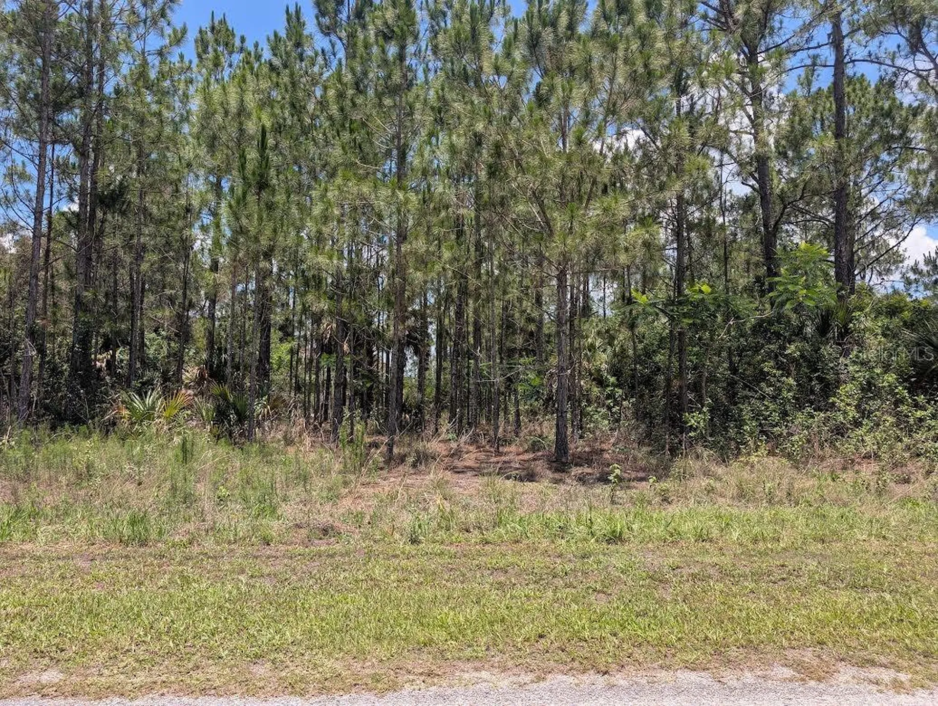 7 Avocado Drive Indian Lake Estates FL 33855
