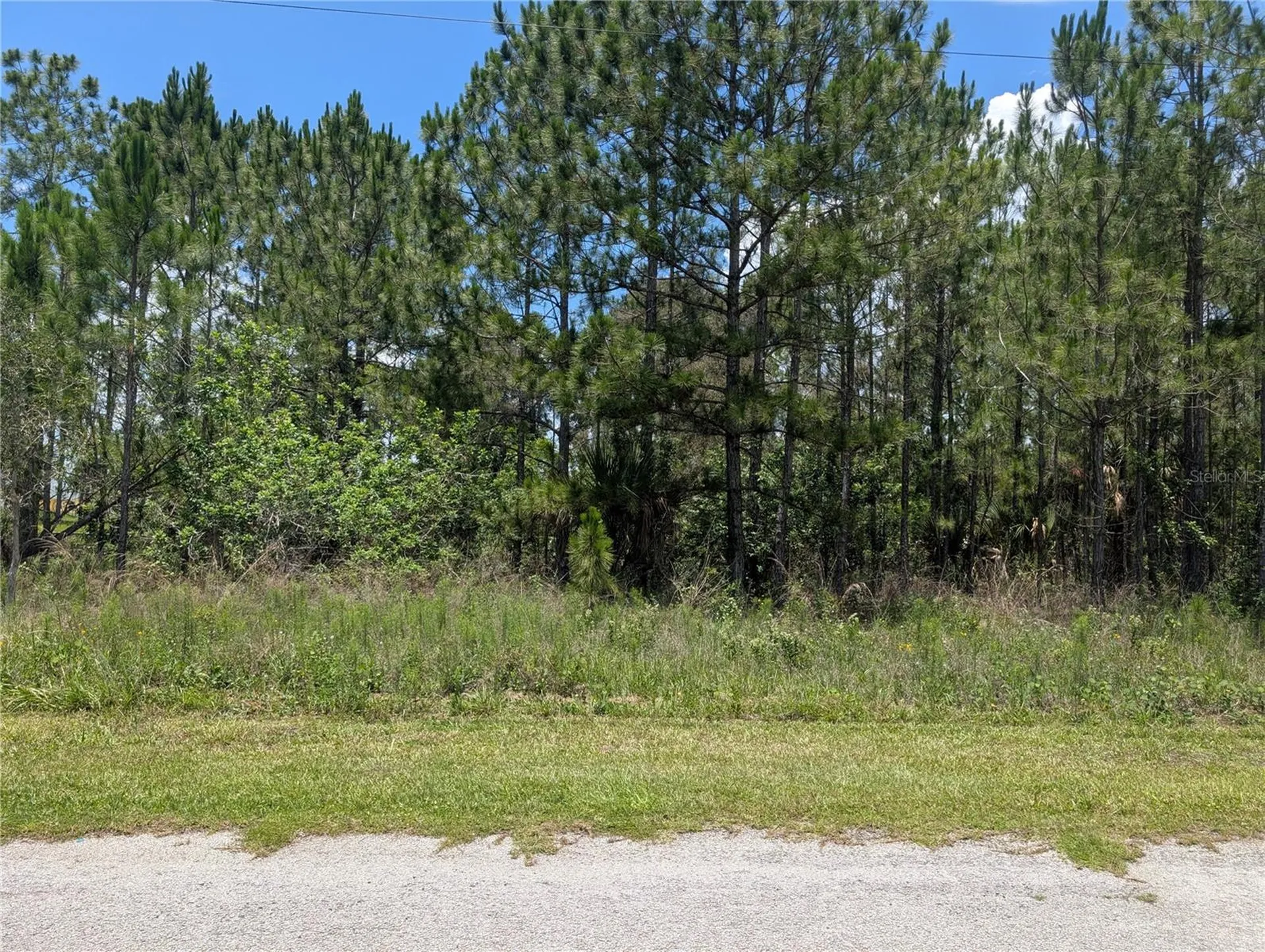 7 Avocado Drive Indian Lake Estates FL 33855
