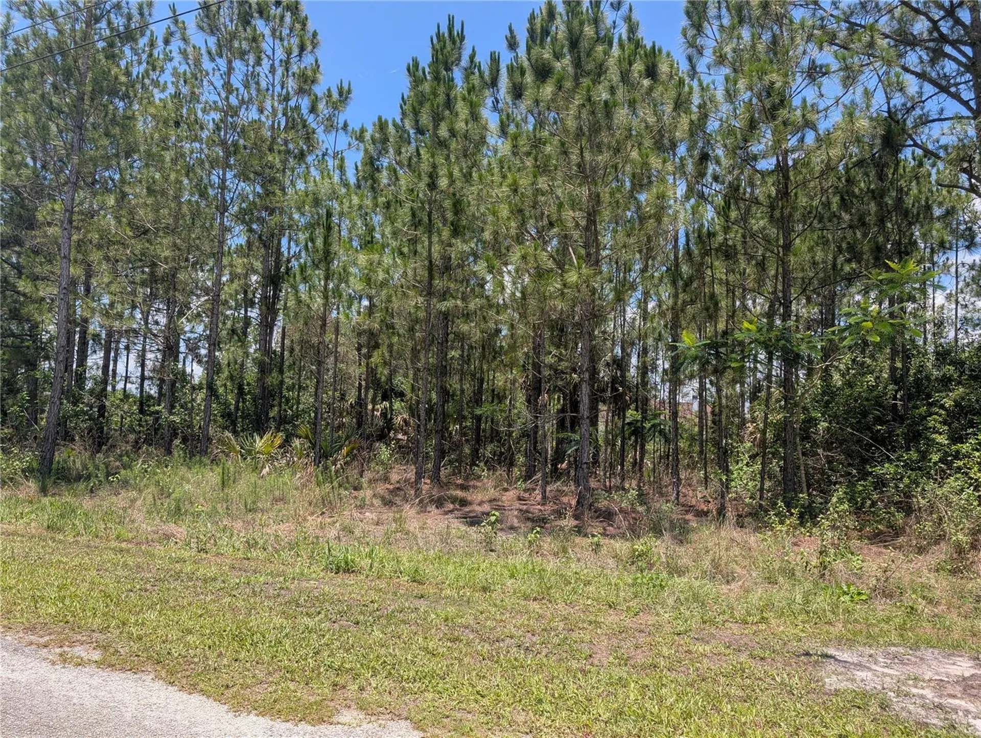 7 Avocado Drive Indian Lake Estates FL 33855