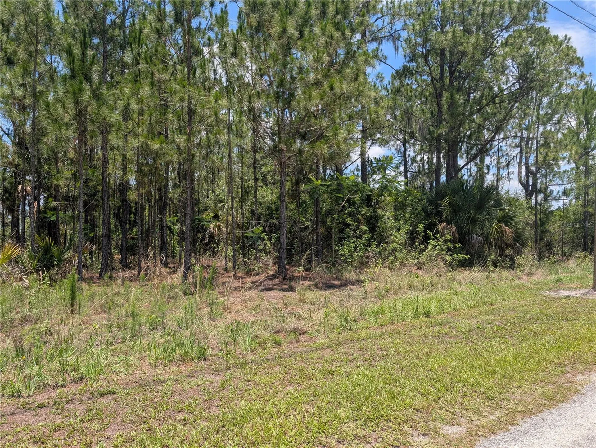7 Avocado Drive Indian Lake Estates FL 33855