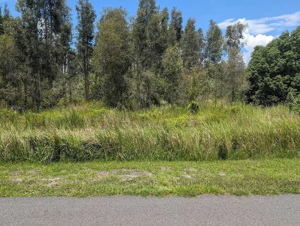 Arborea Drive N Indian Lake Estates FL 33855