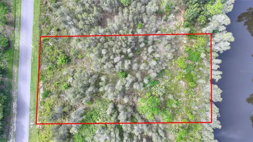 Arborea Drive N Indian Lake Estates FL 33855