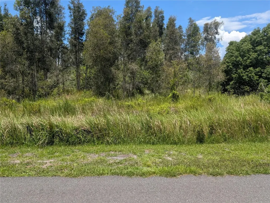 Arborea Drive N Indian Lake Estates FL 33855