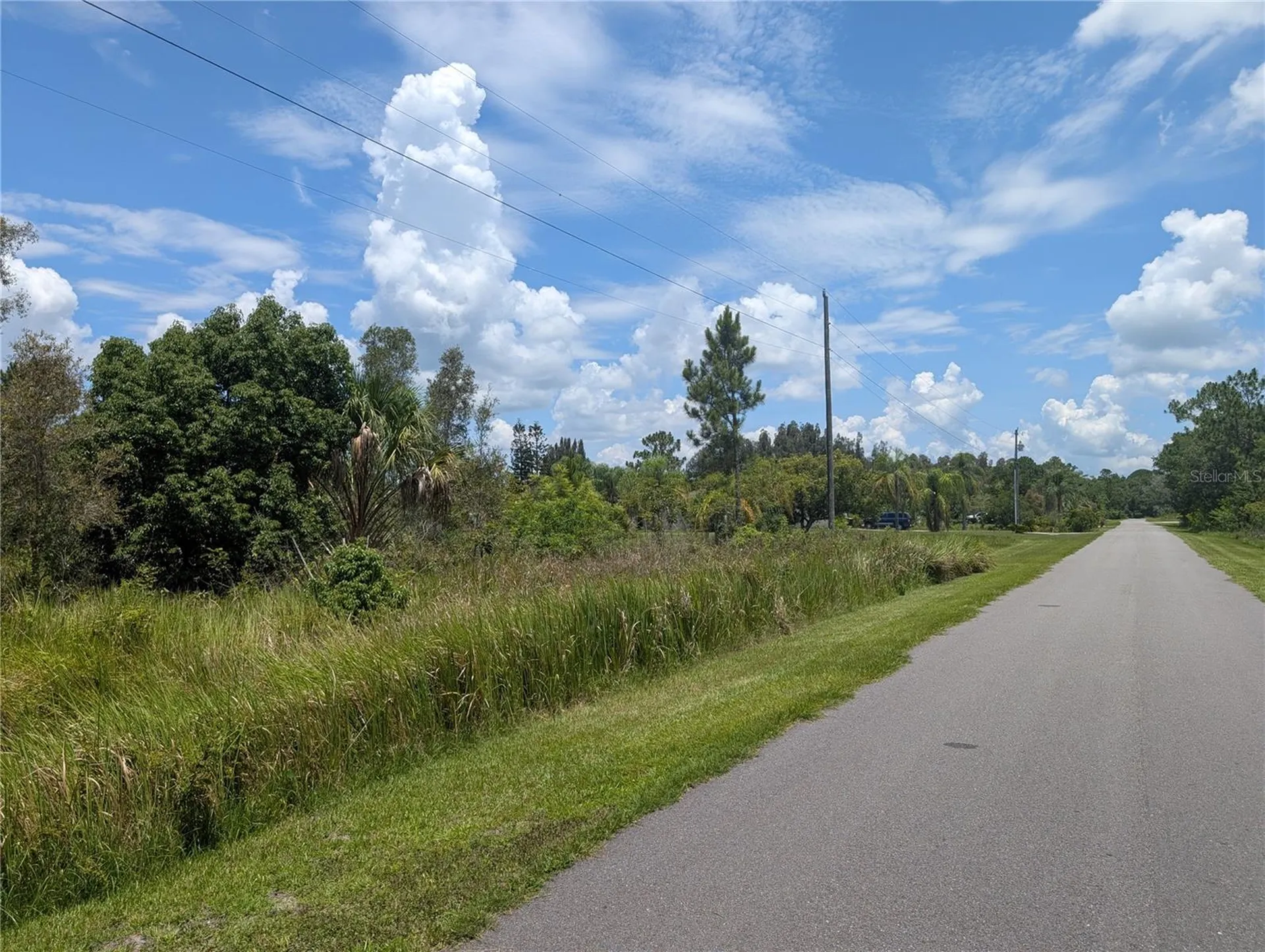 Arborea Drive N Indian Lake Estates FL 33855