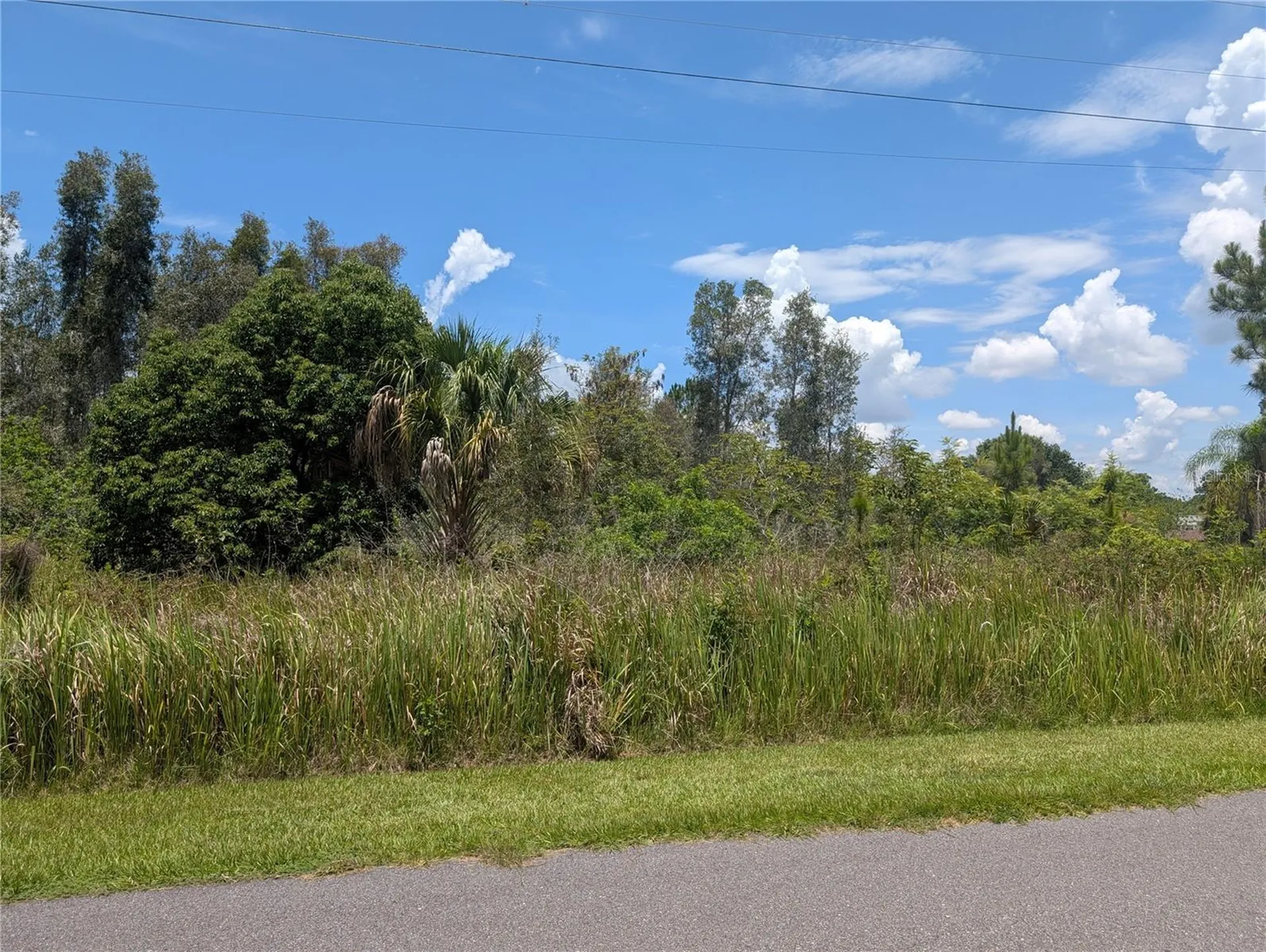 Arborea Drive N Indian Lake Estates FL 33855