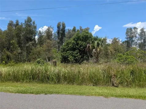 Arborea Drive N Indian Lake Estates FL 33855