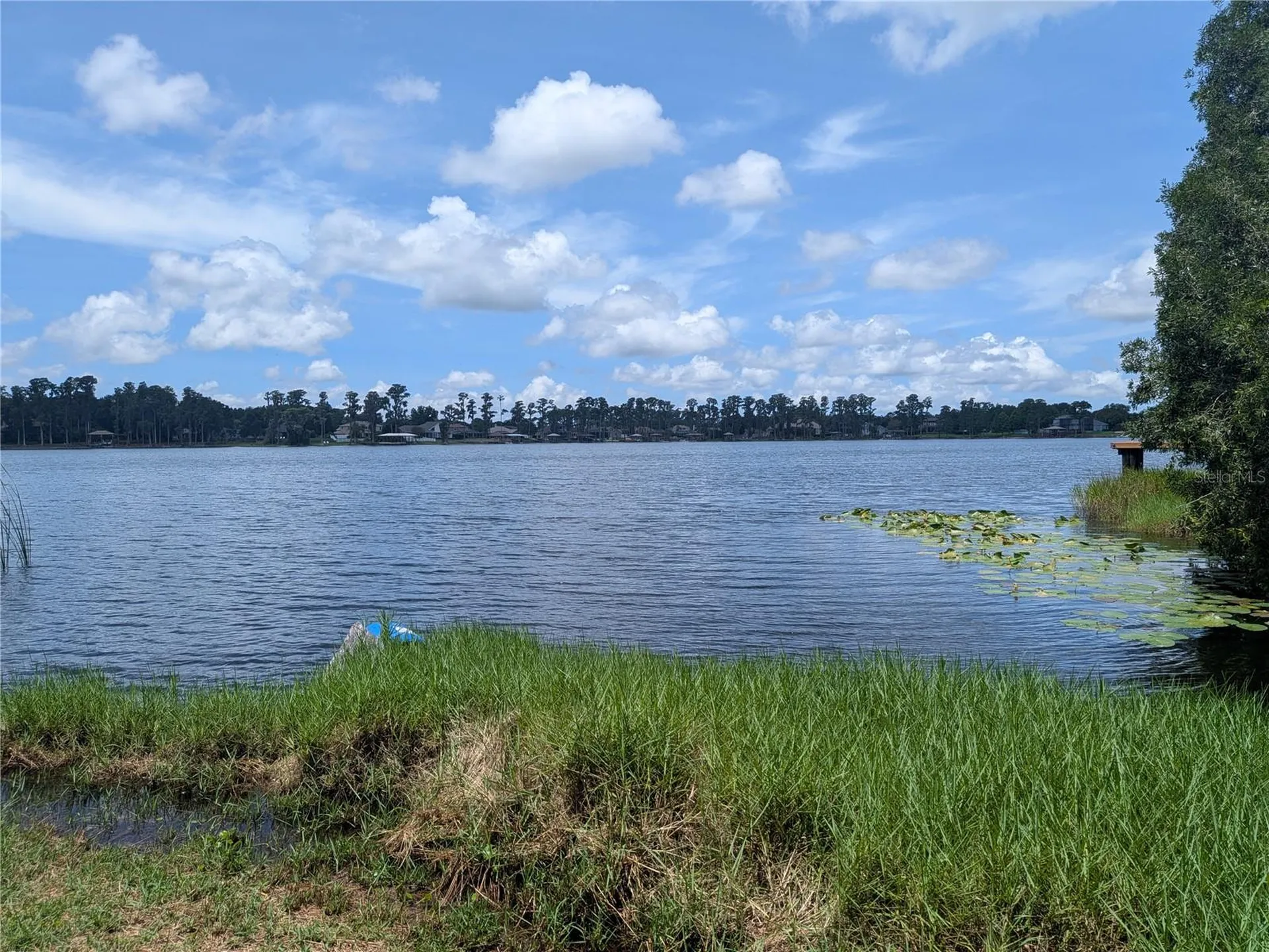 14232 Chisholm Lane Odessa FL 33556