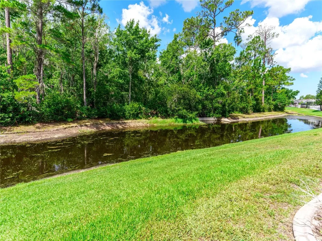 12202 Roseland Drive New Port Richey FL 34654