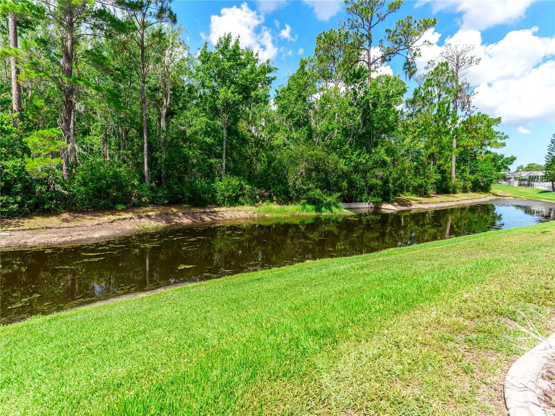12202 Roseland Drive New Port Richey FL 34654