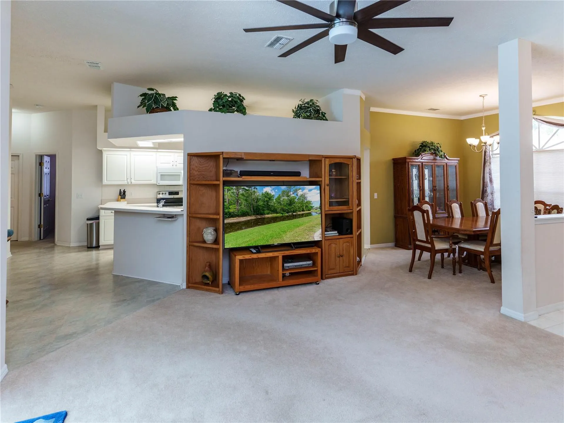 12202 Roseland Drive New Port Richey FL 34654