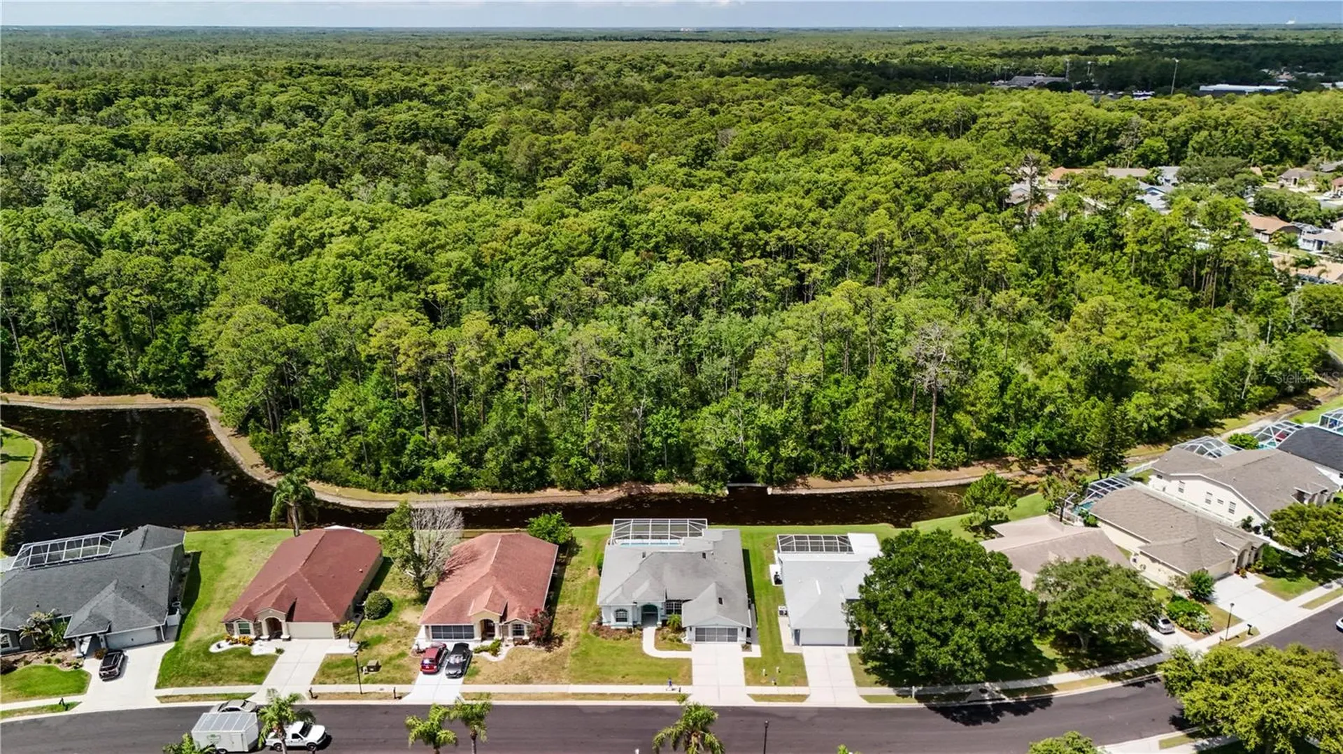 12202 Roseland Drive New Port Richey FL 34654