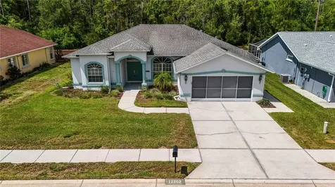 12202 Roseland Drive New Port Richey FL 34654
