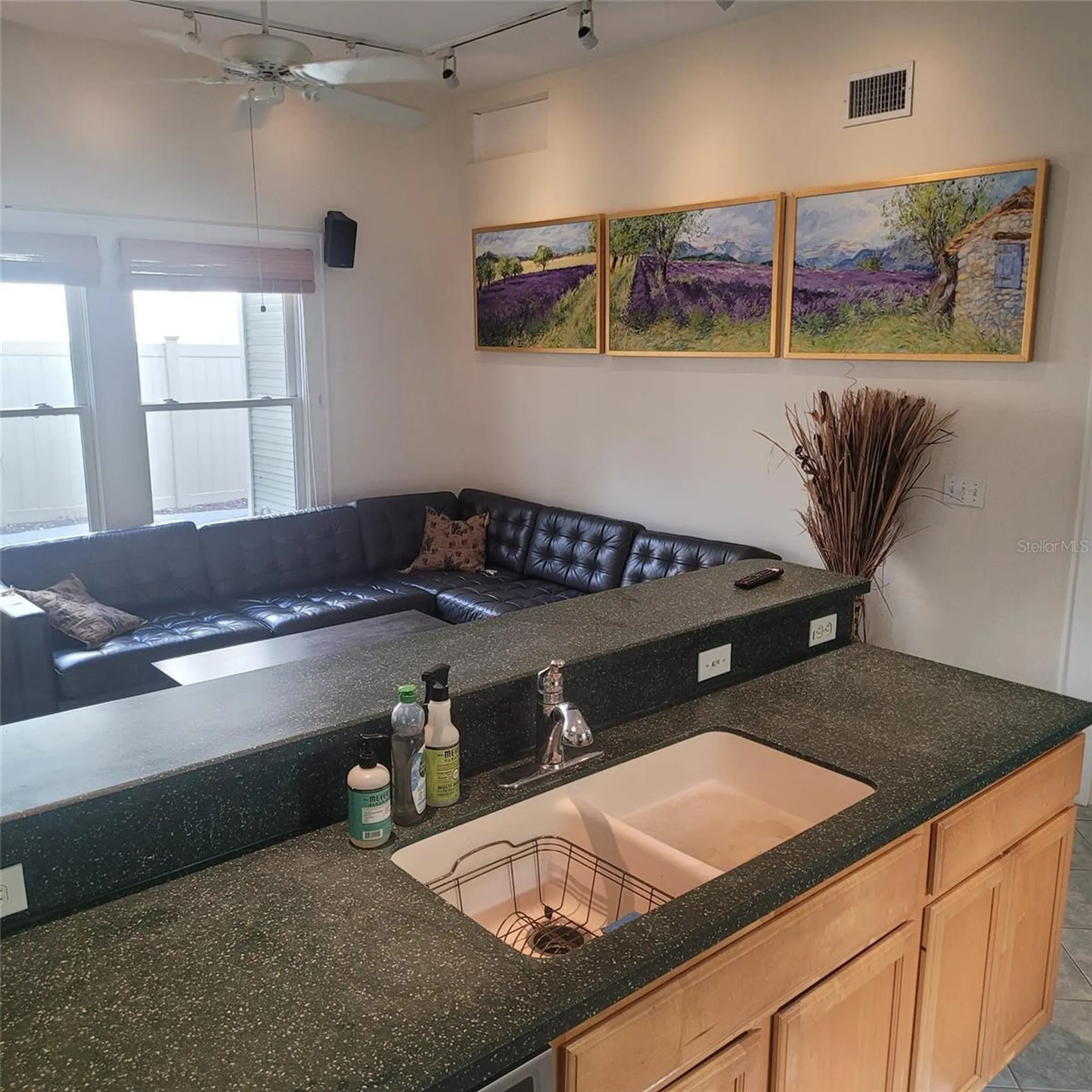 2916 W Bay Court Avenue Tampa FL 33611