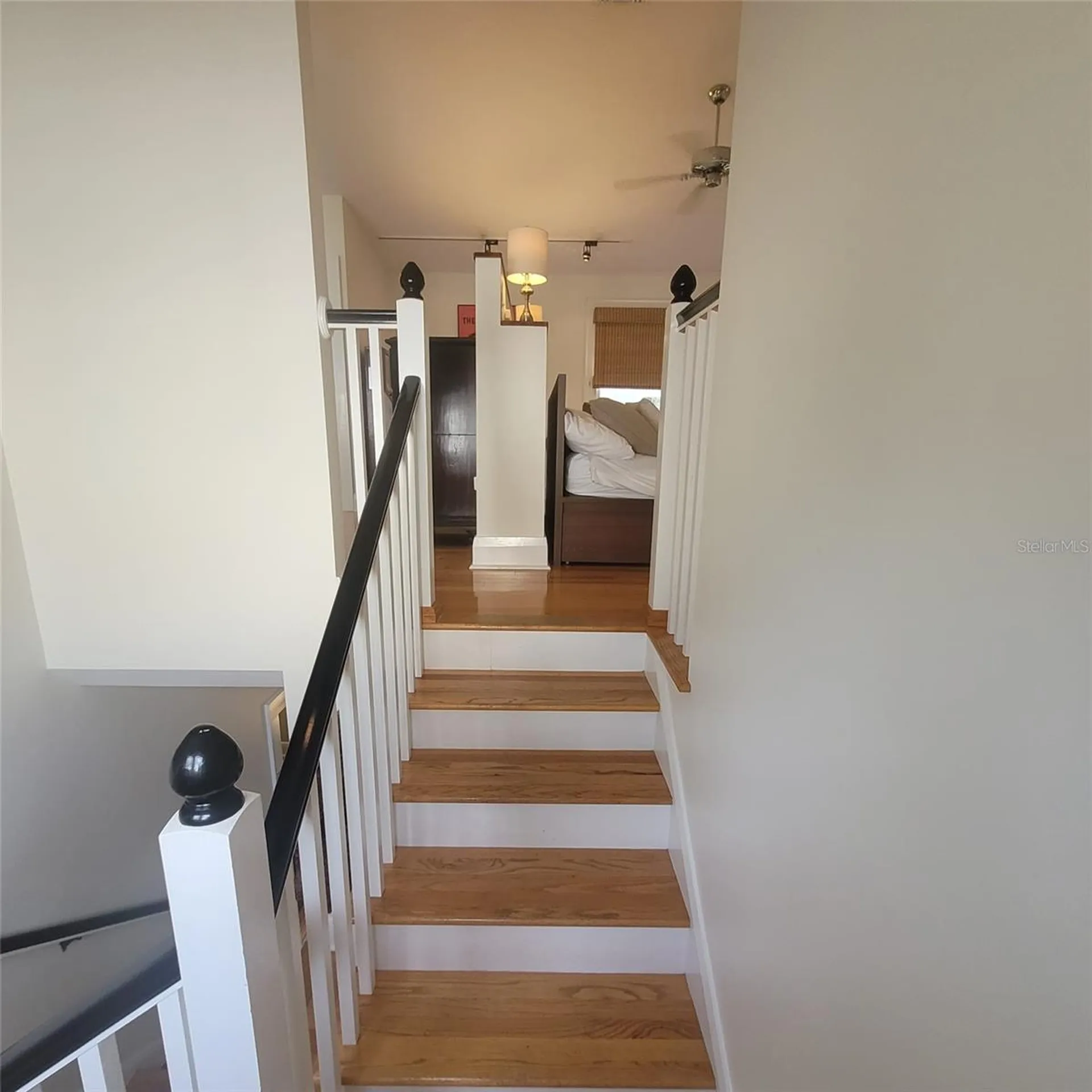 2916 W Bay Court Avenue Tampa FL 33611