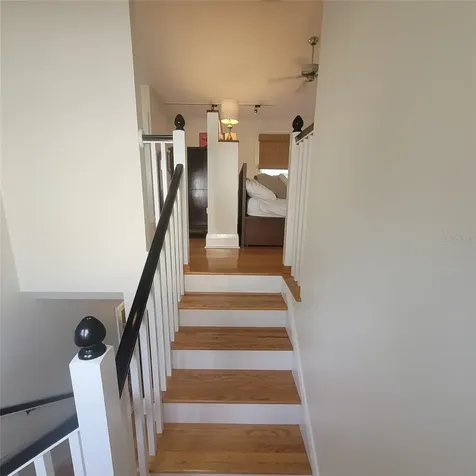 2916 W Bay Court Avenue Tampa FL 33611