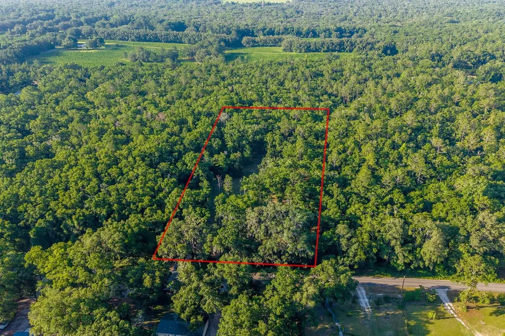 6016 SW 52nd Terrace Lake Butler FL 32054