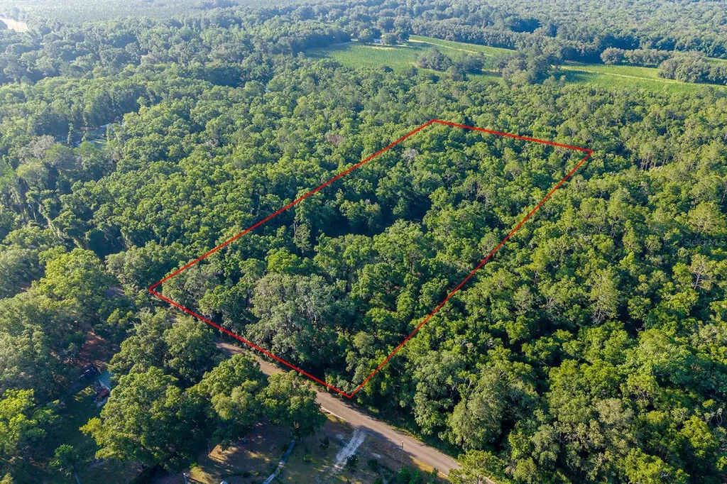 6016 SW 52nd Terrace Lake Butler FL 32054