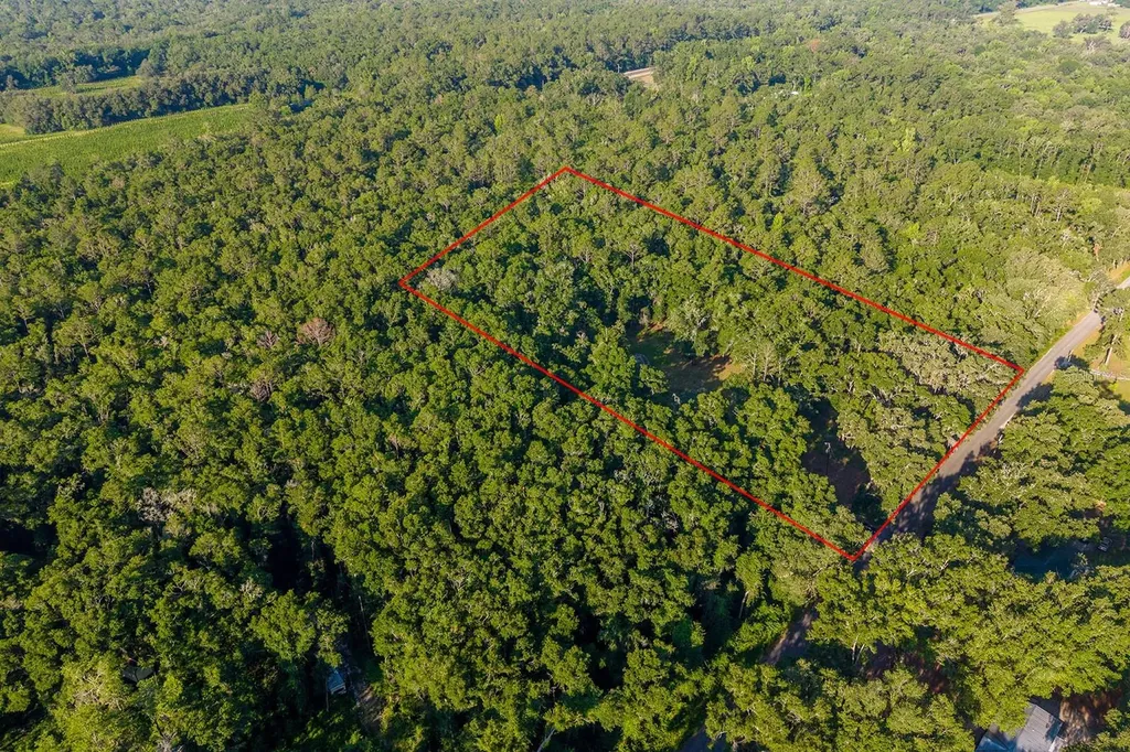 6016 SW 52nd Terrace Lake Butler FL 32054