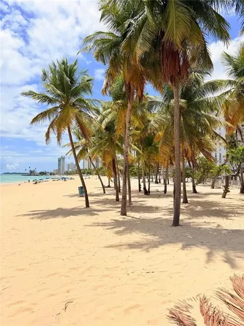 Avenue Isla Verde Cond. Los Corales Carolina PR 00979