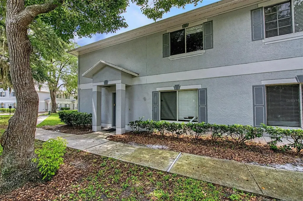 7434 E Bank Drive Tampa FL 33617