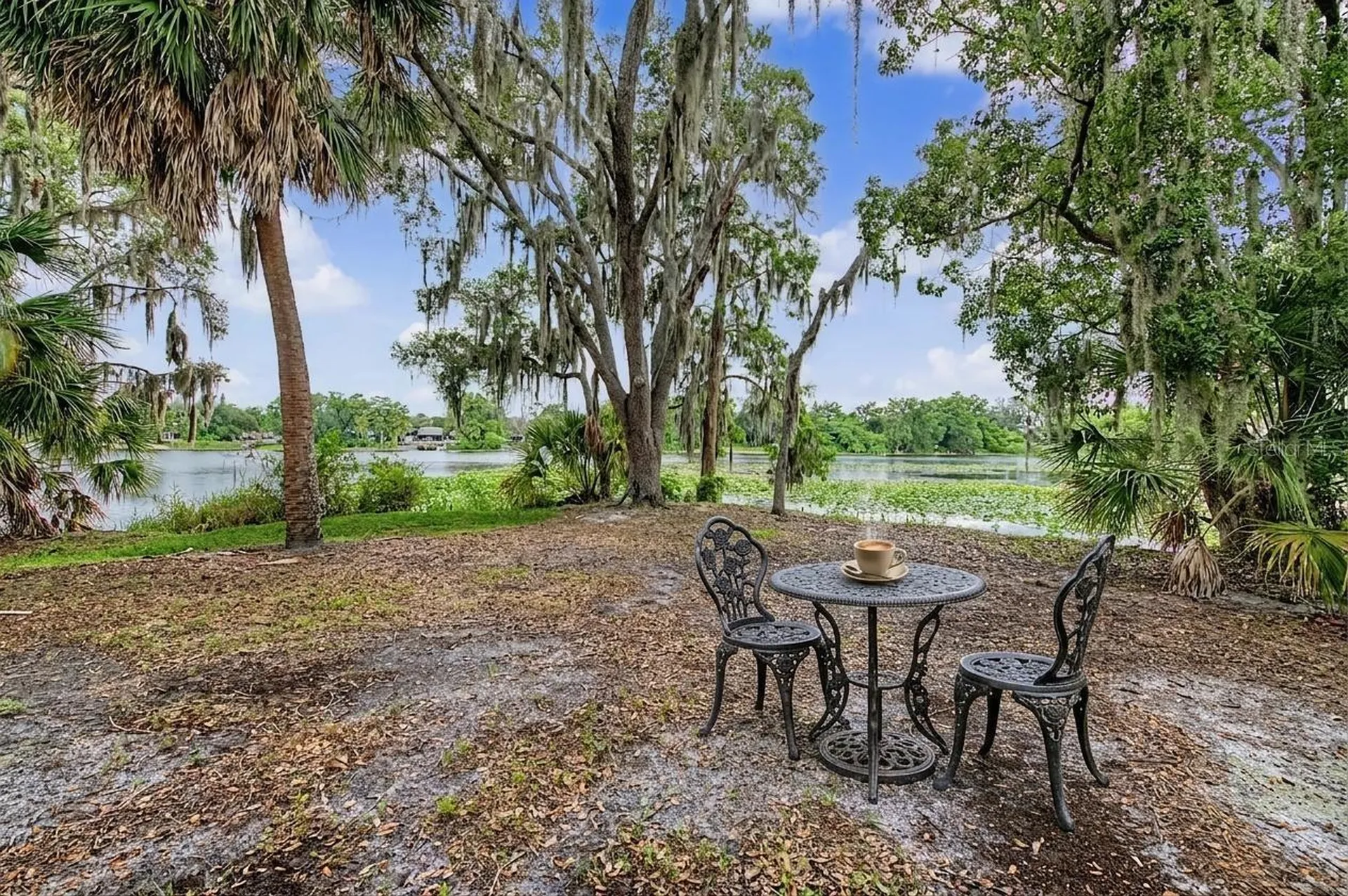 7434 E Bank Drive Tampa FL 33617
