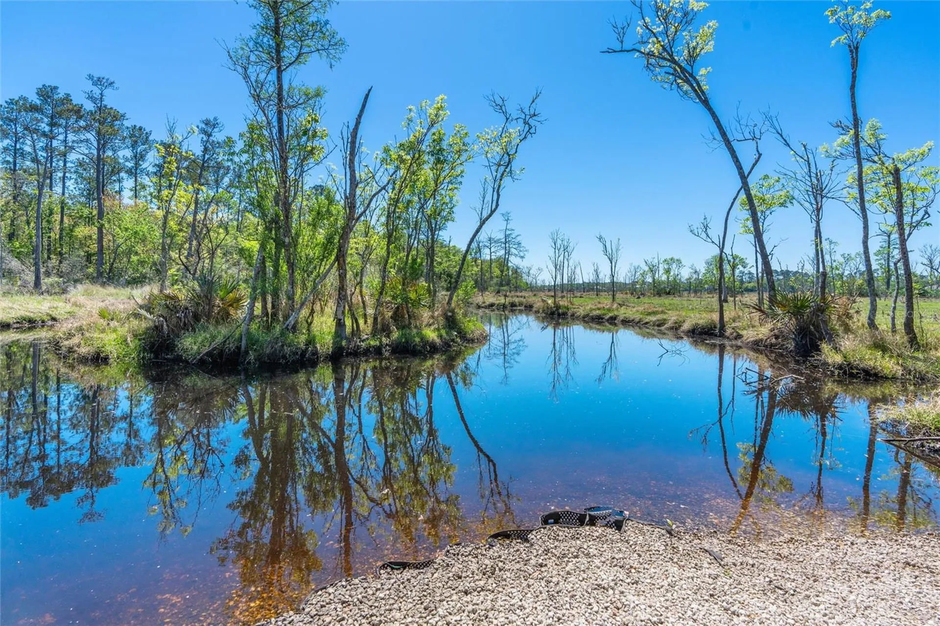5736 Guana Park Court Jacksonville FL 32244