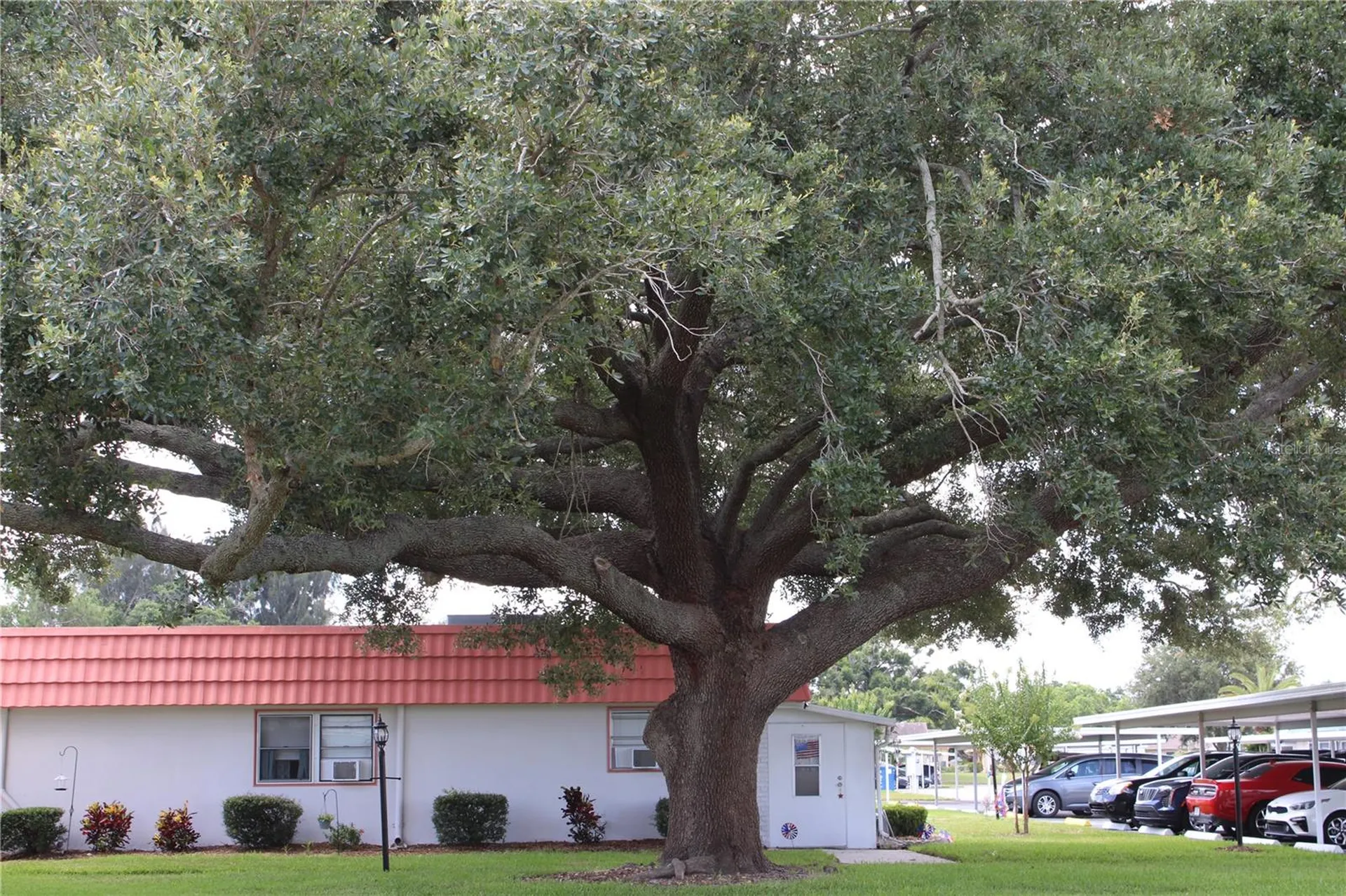 1802 Bedford Terrace Sun City Center FL 33573