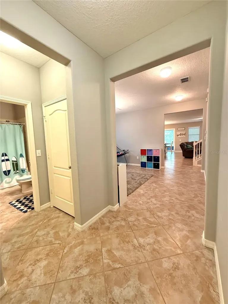 14250 Blue Dasher Drive Riverview FL 33569