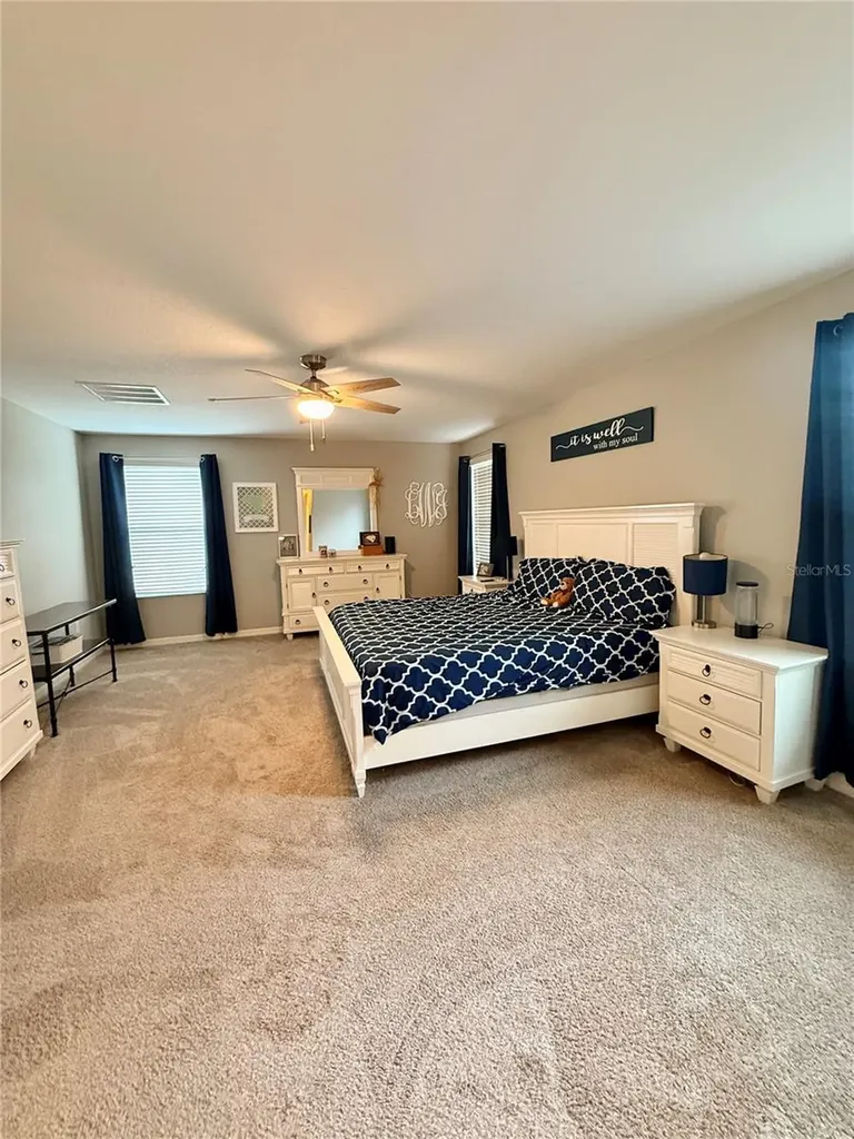 14250 Blue Dasher Drive Riverview FL 33569