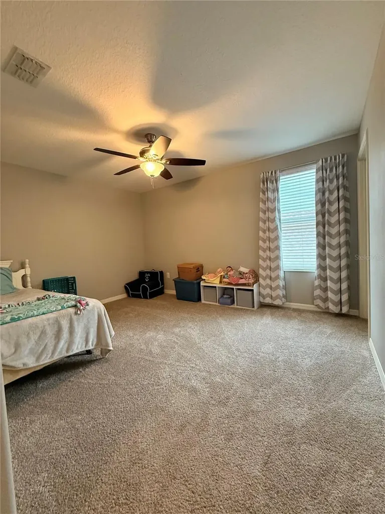 14250 Blue Dasher Drive Riverview FL 33569