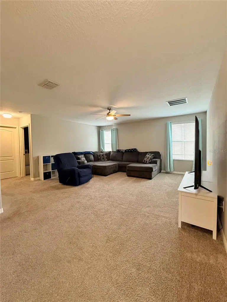 14250 Blue Dasher Drive Riverview FL 33569